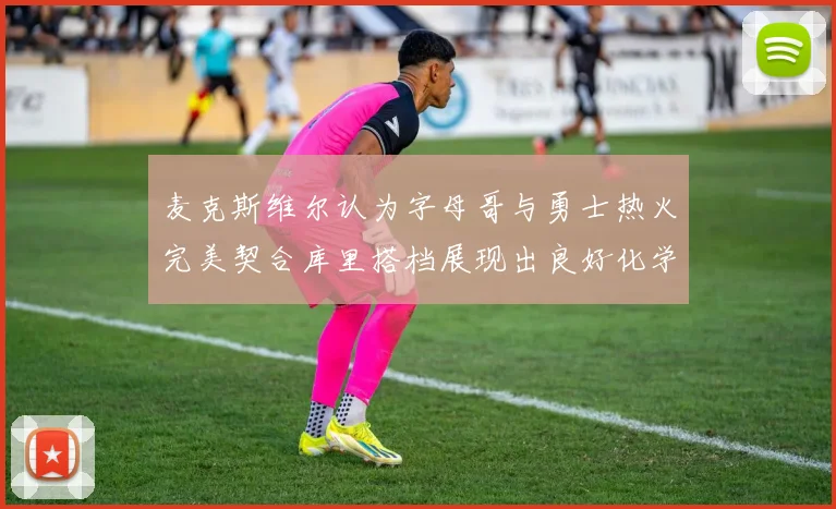 麦克斯维尔认为字母哥与勇士热火完美契合库里搭档展现出良好化学反应