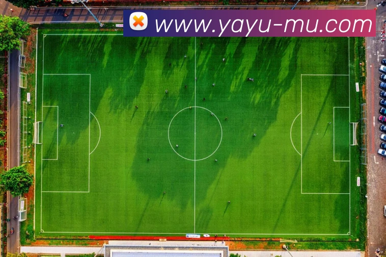 奖项图2
